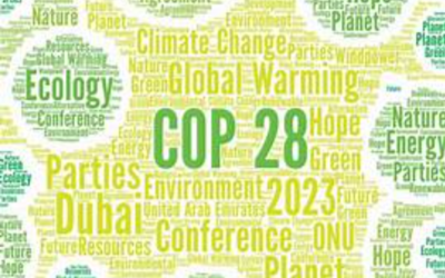 The Aftermath of COP28 – no cause for optimism