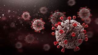 The Coronavirus Pandemic – The Facts